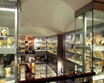 Hunterian Museum, Royal College of Surgeons, London