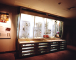 Hunterian Museum, Royal College of Surgeons, London