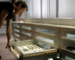 Hunterian Museum, Royal College of Surgeons, London