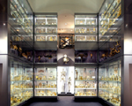 Hunterian Museum, Royal College of Surgeons, London