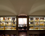 Hunterian Museum, Royal College of Surgeons, London