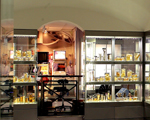 Hunterian Museum, Royal College of Surgeons, London