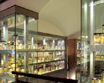 Hunterian Museum, Royal College of Surgeons, London